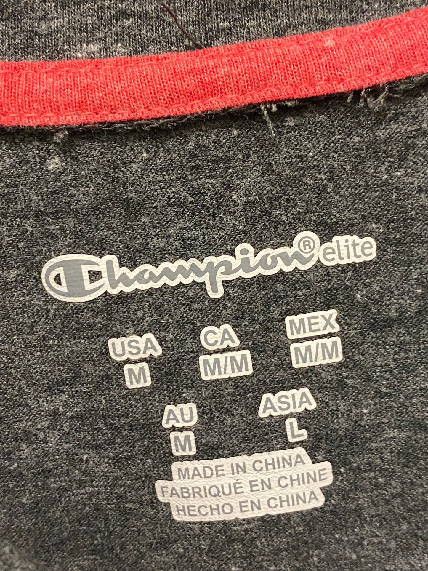T-shirt Y2K Champion Georgia Bulldogs (M)