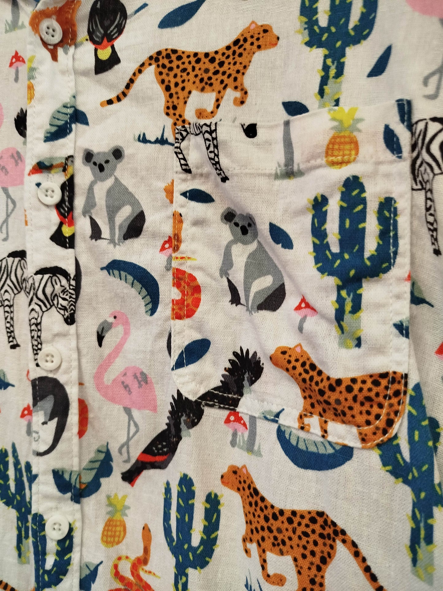 Kip&Co x Cotton Kids shirt -100% plastic recycled (L)