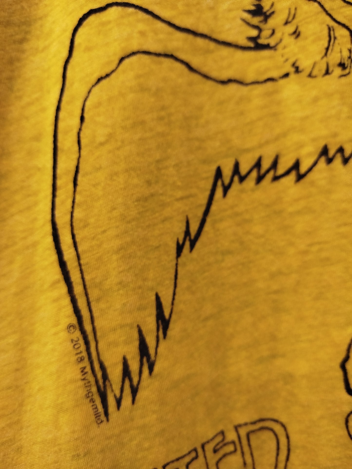 T-shirt Led Zeppelin (M)