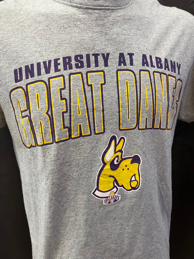 T-shirt Jansport University at Albany great Danes (M uomo) thumbnail