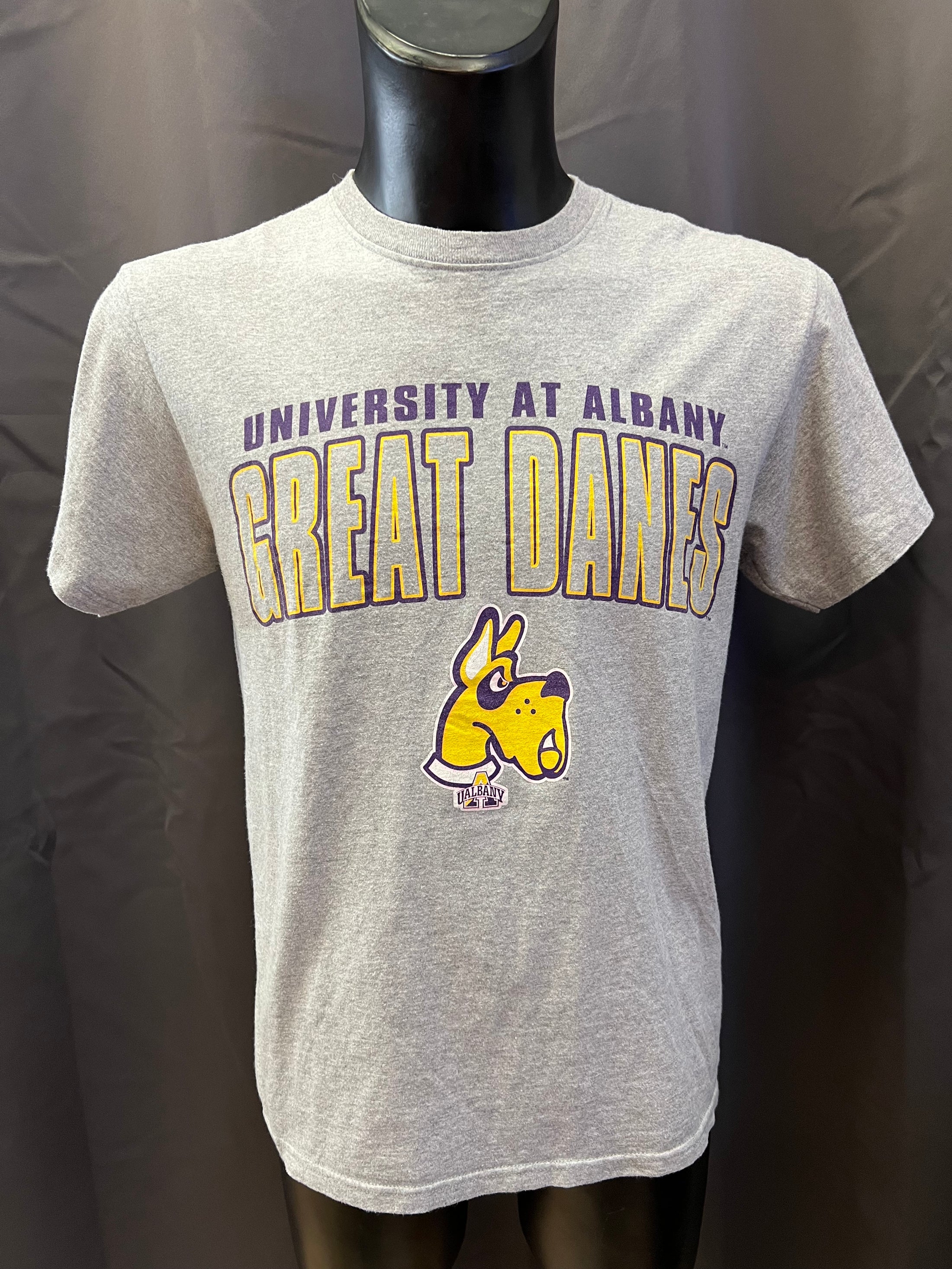 T-shirt Jansport University at Albany great Danes (M uomo)