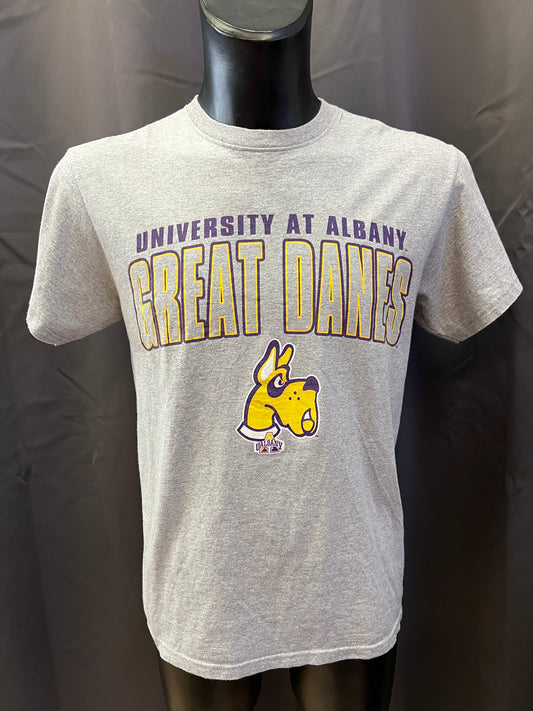 T-shirt Jansport University at Albany great Danes (M uomo)