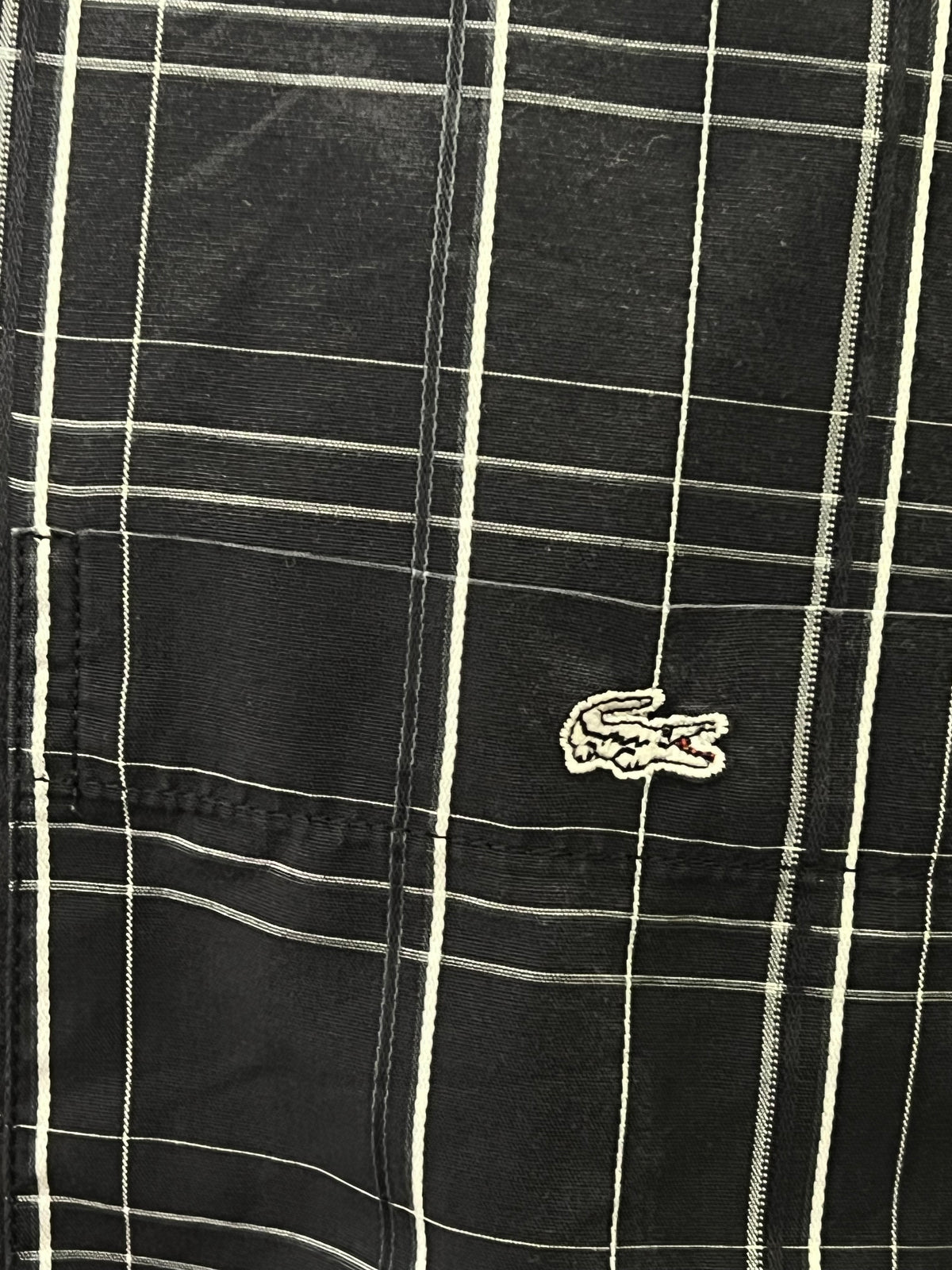 Camicia LaCoste silver crocodile |XL uomo