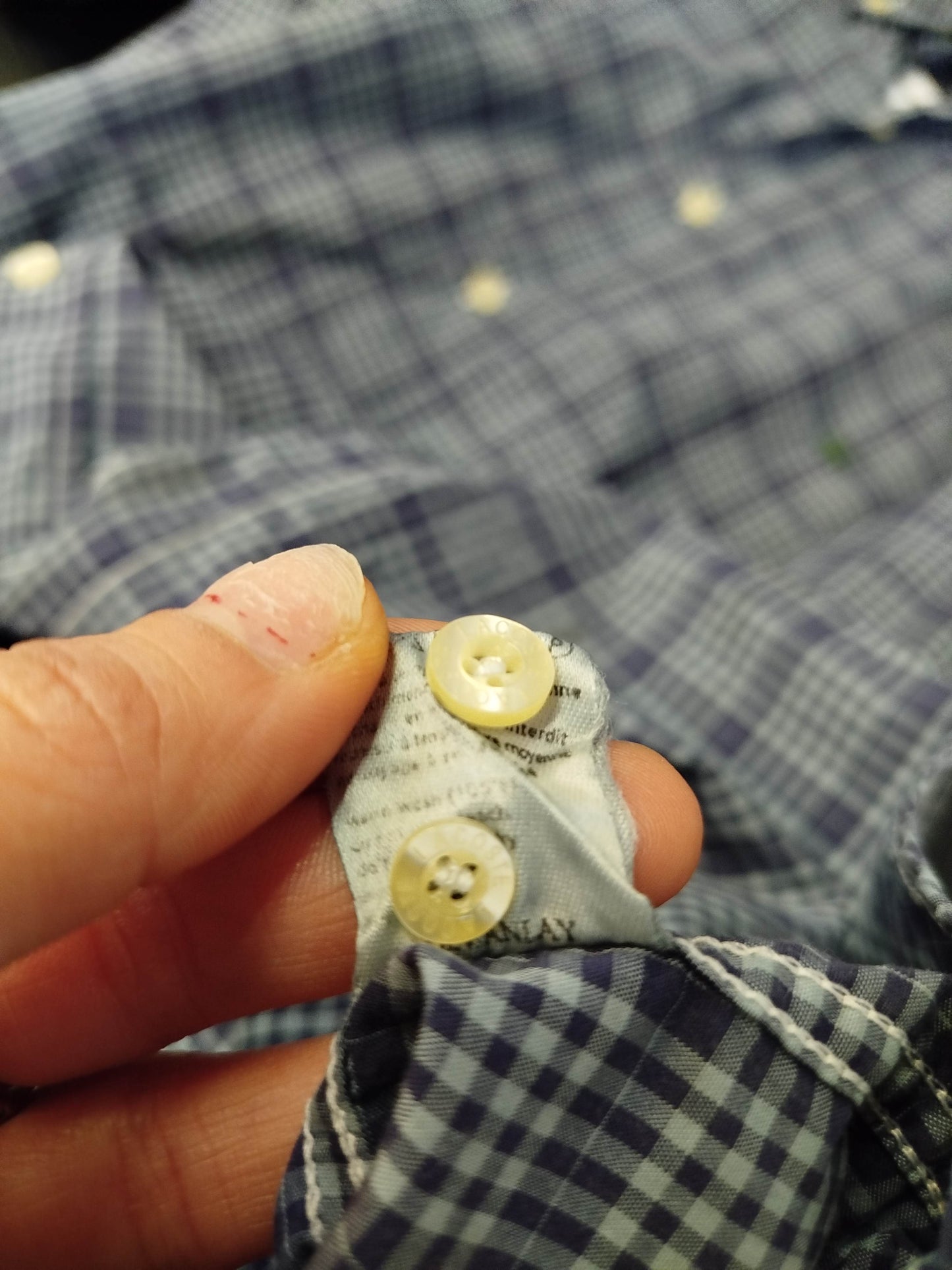 Camicia manica corta Lacoste (M uomo)