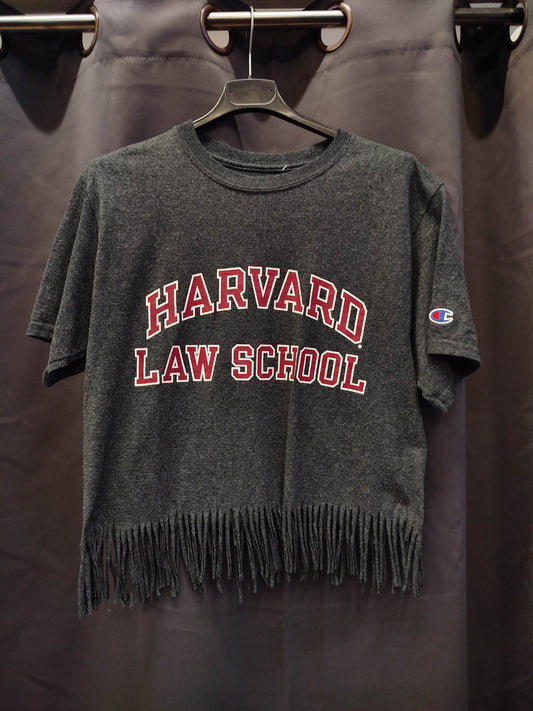 T-shirt champion Harvard (s)